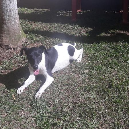 Sítio e Pousada Recanto Dos Ipês Teresópolis Exterior foto