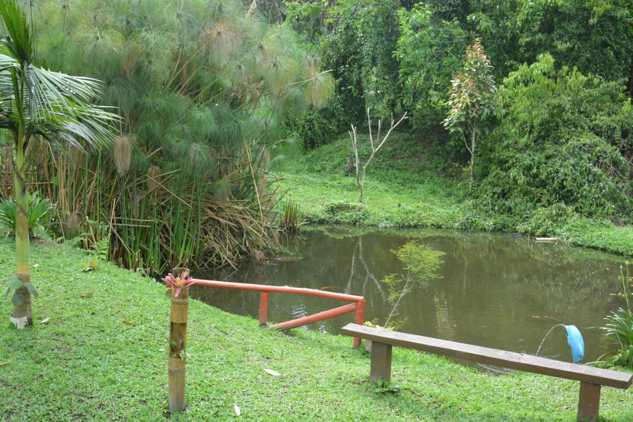 Sítio e Pousada Recanto Dos Ipês Teresópolis Exterior foto
